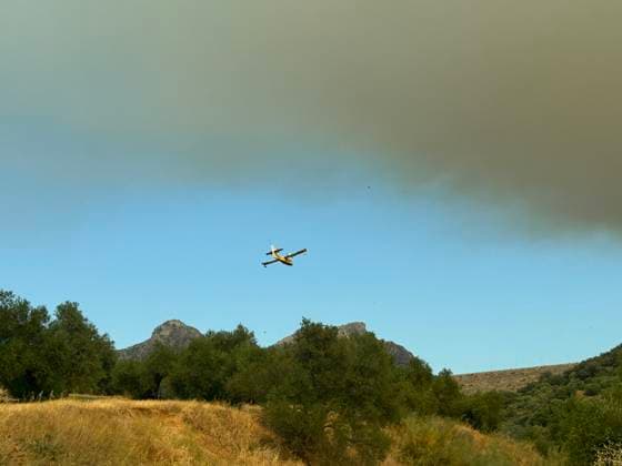 A wildfire in Grazalema, Cádiz, forces the evacuation of the Hotel Fuerte and triggers Emergency Phase 1. Aerial resources from the Infoca Plan are working to extinguish the wildfire in Grazalema. July 6, 2026, in Grazalema, Cádiz, Andalusia, Spain A dozen aerial resources, including helicopters and airplanes, are working to extinguish the wildfire that broke out in the municipality of Grazalema, Cádiz, specifically in the El Alamillo area, which has forced the evacuation of the Hotel Fuerte and led to the emergency phase being raised to Operational Phase 1 July 6, 2026 Joaquí Grazalema, Cádiz, Andalusia, Spain Grazalema, Cádiz, Andalusia, Spain Spain  Copyright: xJoaquinxCorcherox 7649836