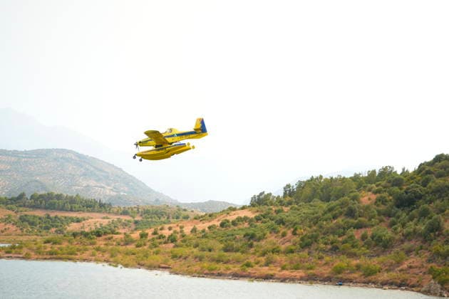 A wildfire in Grazalema, Cádiz, forces the evacuation of the Hotel Fuerte and triggers Emergency Phase 1. Aerial resources from the Infoca Plan are working to extinguish the wildfire in Grazalema. July 6, 2026, in Grazalema, Cádiz, Andalusia, Spain A dozen aerial resources, including helicopters and airplanes, are working to extinguish the wildfire that broke out in the municipality of Grazalema, Cádiz, specifically in the El Alamillo area, which has forced the evacuation of the Hotel Fuerte and led to the emergency phase being raised to Operational Phase 1. July 6, 2026 Joaquí Zahara de la Sierra, Cádiz, Spain  Copyright: xJoaquinxCorcherox 7649843