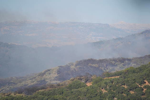 A wildfire in Grazalema, Cádiz, forces the evacuation of the Hotel Fuerte and triggers Emergency Phase 1. Aerial resources from the Infoca Plan are working to extinguish the wildfire in Grazalema. July 6, 2026, in Grazalema, Cádiz, Andalusia, Spain On July 6, 2026, in Zahara de la Sierra, Cádiz, Andalusia, Spain A dozen aerial resources, including helicopters and airplanes, are working to extinguish the wildfire that broke out in the municipality of Grazalema, Cádiz, specifically in the El Alamillo area, which has forced the evacuation of the Hotel Fuerte and led to the emergency phase being raised to Operational Level 1. JULY 6, 2026 Joaquí Grazalema, Cádiz, Andalusia, Spain Grazalema, Cádiz, Andalusia, Spain Spain  Copyright: xJoaquinxCorcherox 7650026