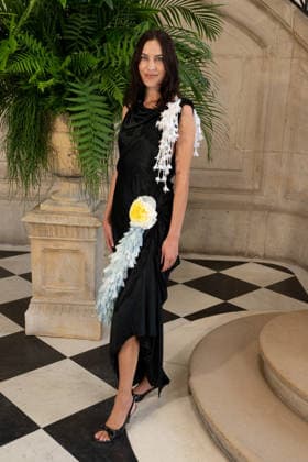 PFW - Christian Dior Photocall Alexa Chung attending the Christian Dior Haute Couture Fall Winter 2026 2027 show as part of Paris Fashion Week in Paris, France on July 06, 2025. Photo by Laurent Zabulon ABACAPRESS.COM  Copyright: xZabulonxLaurent ABACAx