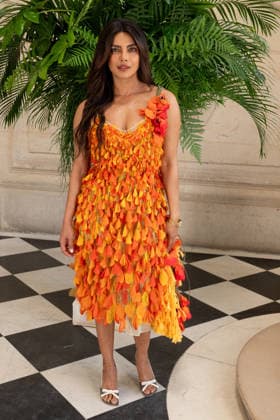 PFW - Christian Dior Photocall Priyanka Chopra attending the Christian Dior Haute Couture Fall Winter 2026 2027 show as part of Paris Fashion Week in Paris, France on July 06, 2025. Photo by Laurent Zabulon ABACAPRESS.COM Paris  Copyright: xZabulonxLaurent ABACAx