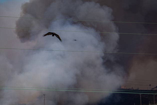 July 6, 2026, Camp Pendleton, California, USA: MASS 3 Evacuations were given for AREA 32 of Camp Pendleton on Monday, July, 6, 2026, just outside of Oceanside, California. The Pipeline Fire is at 150 acres with multiple resources attacking the line. Camp Pendleton USA - ZUMAg219 20260706_znp_g219_006 Copyright: xJakexLeexGreenx