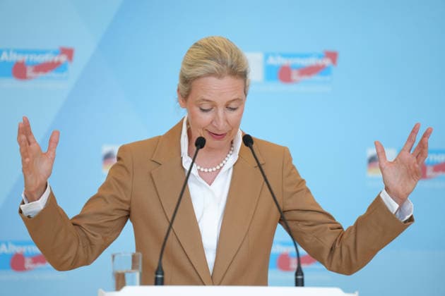 Pressekonferenz der AfD vor der Fraktionssitzung im Bundestag Alice Weidel im Portrait bei der Pressekonferenz im Vorfeld der Fraktionssitzung im Bundestag, Berlin, 07.07.2026 Berlin Berlin Deutschland *** AfD Press Conference Ahead of the Parliamentary Group Meeting in the Bundestag: A Portrait of Alice Weidel at the Press Conference Ahead of the Parliamentary Group Meeting in the Bundestag, Berlin, July 7, 2026, Berlin, Berlin, Germany
