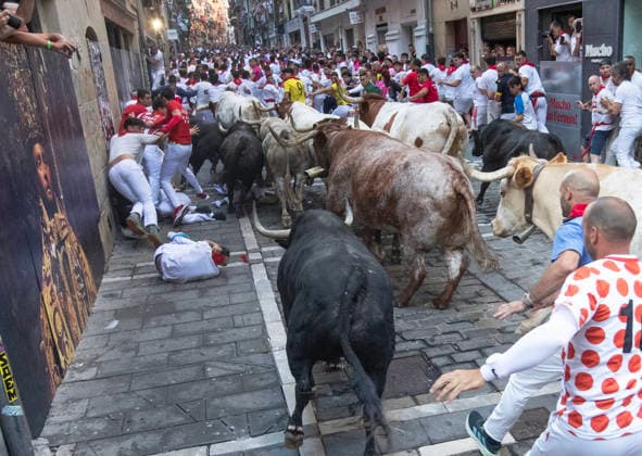 The first running-of-the-bulls in Pamplona, northern Spain on Monday morning, July 7, 2026 shows a group of fighting bulls, or toros bravos , from the ranch of Fuente Ymbro as they stampede up Calle Estafeta and runners fall (L) on the Old City streets on their way to the bullring. The internationally famed Fiesta de San Fermin has a bull run each morning for seven days and the bulls are killed in the same afternoon by top matadors in bullfights during the unique Feria del Toro.  PAM20260707104 JimxHollander