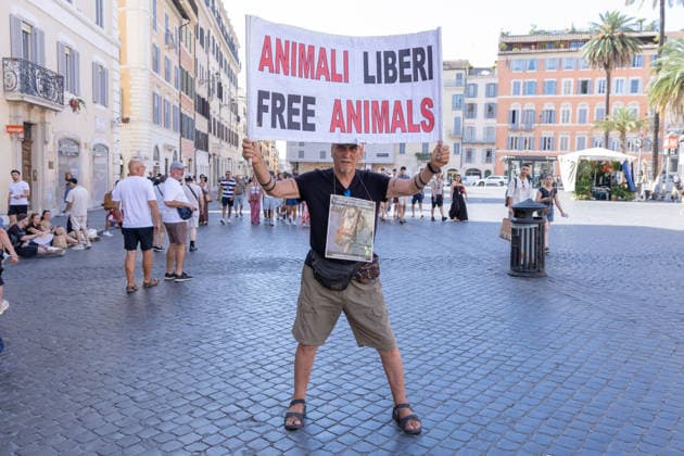 IPA86476501 - An activist holds up a sign protesting the Botticelle for tourists in Rome s Piazza di Spagna  Copyright: xMatteoxNardonex xx 86476501