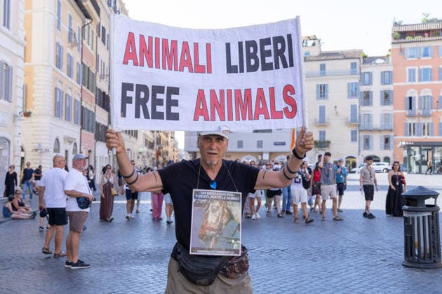 IPA86476504 - An activist holds up a sign protesting the Botticelle for tourists in Rome s Piazza di Spagna  Copyright: xMatteoxNardonex xx 86476504