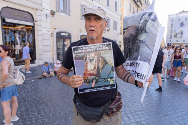 IPA86476507 - An activist holds up a sign protesting the Botticelle for tourists in Rome s Piazza di Spagna  Copyright: xMatteoxNardonex xx 86476507