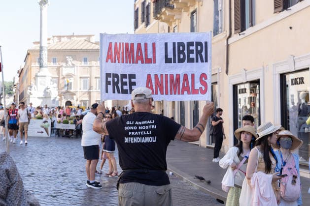 IPA86476519 - An activist holds up a sign protesting the Botticelle for tourists in Rome s Piazza di Spagna  Copyright: xMatteoxNardonex xx 86476519