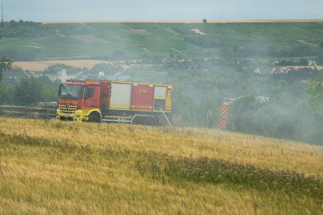 Flächenbrand zwischen Großwinternheim und Schwabenheim Am Dienstagnachmittag, dem 07.07.2026, kam es gegen 16:35 Uhr zwischen Ingelheim-Großwinternheim und Schwabenheim an der Selz (Landkreis Mainz-Bingen, Rheinland-Pfalz) zu einem größeren Flächenbrand. Aufgrund des herrschenden Windes breitete sich das Feuer rasch auf eine Fläche von rund zwei Hektar aus. Mehr als 80 Einsatzkräfte der Feuerwehren aus der Verbandsgemeinde Gau-Algesheim, der Stadt Ingelheim sowie der Werkfeuerwehr Boehringer, des Rettungsdienstes und der Polizei waren mit über 20 Einsatzfahrzeugen im Einsatz. Unterstützt wurden die Löscharbeiten durch landwirtschaftliche Fahrzeuge, die unter anderem die Wasserversorgung sicherstellten. Die L428 musste während de