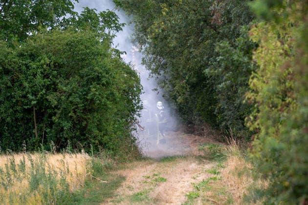 Flächenbrand zwischen Großwinternheim und Schwabenheim Am Dienstagnachmittag, dem 07.07.2026, kam es gegen 16:35 Uhr zwischen Ingelheim-Großwinternheim und Schwabenheim an der Selz (Landkreis Mainz-Bingen, Rheinland-Pfalz) zu einem größeren Flächenbrand. Aufgrund des herrschenden Windes breitete sich das Feuer rasch auf eine Fläche von rund zwei Hektar aus. Mehr als 80 Einsatzkräfte der Feuerwehren aus der Verbandsgemeinde Gau-Algesheim, der Stadt Ingelheim sowie der Werkfeuerwehr Boehringer, des Rettungsdienstes und der Polizei waren mit über 20 Einsatzfahrzeugen im Einsatz. Unterstützt wurden die Löscharbeiten durch landwirtschaftliche Fahrzeuge, die unter anderem die Wasserversorgung sicherstellten. Die L428 musste während de