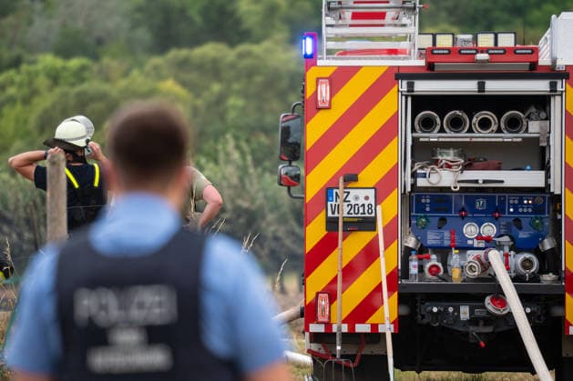 Flächenbrand zwischen Großwinternheim und Schwabenheim Am Dienstagnachmittag, dem 07.07.2026, kam es gegen 16:35 Uhr zwischen Ingelheim-Großwinternheim und Schwabenheim an der Selz (Landkreis Mainz-Bingen, Rheinland-Pfalz) zu einem größeren Flächenbrand. Aufgrund des herrschenden Windes breitete sich das Feuer rasch auf eine Fläche von rund zwei Hektar aus. Mehr als 80 Einsatzkräfte der Feuerwehren aus der Verbandsgemeinde Gau-Algesheim, der Stadt Ingelheim sowie der Werkfeuerwehr Boehringer, des Rettungsdienstes und der Polizei waren mit über 20 Einsatzfahrzeugen im Einsatz. Unterstützt wurden die Löscharbeiten durch landwirtschaftliche Fahrzeuge, die unter anderem die Wasserversorgung sicherstellten. Die L428 musste während de