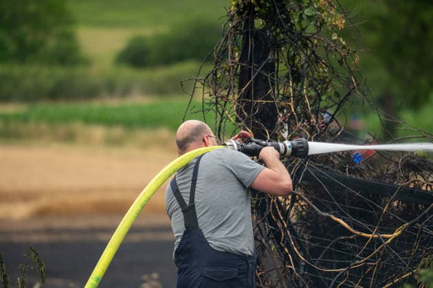 Flächenbrand zwischen Großwinternheim und Schwabenheim Am Dienstagnachmittag, dem 07.07.2026, kam es gegen 16:35 Uhr zwischen Ingelheim-Großwinternheim und Schwabenheim an der Selz (Landkreis Mainz-Bingen, Rheinland-Pfalz) zu einem größeren Flächenbrand. Aufgrund des herrschenden Windes breitete sich das Feuer rasch auf eine Fläche von rund zwei Hektar aus. Mehr als 80 Einsatzkräfte der Feuerwehren aus der Verbandsgemeinde Gau-Algesheim, der Stadt Ingelheim sowie der Werkfeuerwehr Boehringer, des Rettungsdienstes und der Polizei waren mit über 20 Einsatzfahrzeugen im Einsatz. Unterstützt wurden die Löscharbeiten durch landwirtschaftliche Fahrzeuge, die unter anderem die Wasserversorgung sicherstellten. Die L428 musste während de