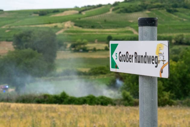 Flächenbrand zwischen Großwinternheim und Schwabenheim Am Dienstagnachmittag, dem 07.07.2026, kam es gegen 16:35 Uhr zwischen Ingelheim-Großwinternheim und Schwabenheim an der Selz (Landkreis Mainz-Bingen, Rheinland-Pfalz) zu einem größeren Flächenbrand. Aufgrund des herrschenden Windes breitete sich das Feuer rasch auf eine Fläche von rund zwei Hektar aus. Mehr als 80 Einsatzkräfte der Feuerwehren aus der Verbandsgemeinde Gau-Algesheim, der Stadt Ingelheim sowie der Werkfeuerwehr Boehringer, des Rettungsdienstes und der Polizei waren mit über 20 Einsatzfahrzeugen im Einsatz. Unterstützt wurden die Löscharbeiten durch landwirtschaftliche Fahrzeuge, die unter anderem die Wasserversorgung sicherstellten. Die L428 musste während de