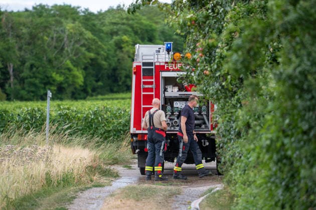 Flächenbrand zwischen Großwinternheim und Schwabenheim Am Dienstagnachmittag, dem 07.07.2026, kam es gegen 16:35 Uhr zwischen Ingelheim-Großwinternheim und Schwabenheim an der Selz (Landkreis Mainz-Bingen, Rheinland-Pfalz) zu einem größeren Flächenbrand. Aufgrund des herrschenden Windes breitete sich das Feuer rasch auf eine Fläche von rund zwei Hektar aus. Mehr als 80 Einsatzkräfte der Feuerwehren aus der Verbandsgemeinde Gau-Algesheim, der Stadt Ingelheim sowie der Werkfeuerwehr Boehringer, des Rettungsdienstes und der Polizei waren mit über 20 Einsatzfahrzeugen im Einsatz. Unterstützt wurden die Löscharbeiten durch landwirtschaftliche Fahrzeuge, die unter anderem die Wasserversorgung sicherstellten. Die L428 musste während de