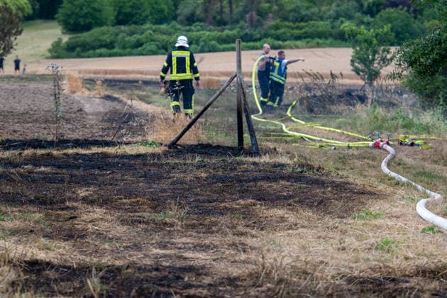 Flächenbrand zwischen Großwinternheim und Schwabenheim Am Dienstagnachmittag, dem 07.07.2026, kam es gegen 16:35 Uhr zwischen Ingelheim-Großwinternheim und Schwabenheim an der Selz (Landkreis Mainz-Bingen, Rheinland-Pfalz) zu einem größeren Flächenbrand. Aufgrund des herrschenden Windes breitete sich das Feuer rasch auf eine Fläche von rund zwei Hektar aus. Mehr als 80 Einsatzkräfte der Feuerwehren aus der Verbandsgemeinde Gau-Algesheim, der Stadt Ingelheim sowie der Werkfeuerwehr Boehringer, des Rettungsdienstes und der Polizei waren mit über 20 Einsatzfahrzeugen im Einsatz. Unterstützt wurden die Löscharbeiten durch landwirtschaftliche Fahrzeuge, die unter anderem die Wasserversorgung sicherstellten. Die L428 musste während de