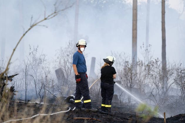 Waldbrand breitet sich aus rund 10000 Quadratmeter betroffen Am 07.07.2026 kam es gegen 18:35 Uhr in Weilrod Hasselbach zu einem Waldbrand, der nach ersten Meldungen rund 10.000 Quadratmeter Wald erfasst hat. Die Rauchentwicklung ist weithin sichtbar, auch aus dem benachbarten Grävenwiesbach werden Meldungen zu dem Brand gemeldet. Die Feuerwehr Weilrod ist im Einsatz und hat wasserführende Fahrzeuge sowie weitere überörtliche Löschzüge angefordert. Stark auflebender Wind erschwert die Löscharbeiten. Über die Warnapp NINA wurde für die betroffenen Gebiete eine Warnung der Warnstufe Gefahr ausgegeben. Weilrod Hessen Deutschland *** Forest Fire Spreads; About 10,000 Square Meters Affected On July 7, 2026, at approximately 6:35 p.