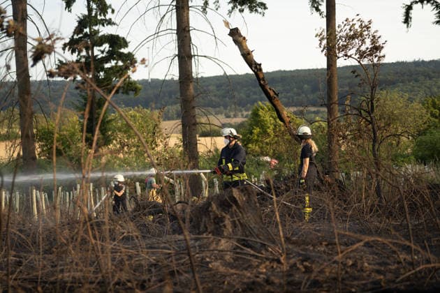 Waldbrand breitet sich aus rund 10000 Quadratmeter betroffen Am 07.07.2026 kam es gegen 18:35 Uhr in Weilrod Hasselbach zu einem Waldbrand, der nach ersten Meldungen rund 10.000 Quadratmeter Wald erfasst hat. Die Rauchentwicklung ist weithin sichtbar, auch aus dem benachbarten Grävenwiesbach werden Meldungen zu dem Brand gemeldet. Die Feuerwehr Weilrod ist im Einsatz und hat wasserführende Fahrzeuge sowie weitere überörtliche Löschzüge angefordert. Stark auflebender Wind erschwert die Löscharbeiten. Über die Warnapp NINA wurde für die betroffenen Gebiete eine Warnung der Warnstufe Gefahr ausgegeben. Weilrod Hessen Deutschland *** Forest Fire Spreads; About 10,000 Square Meters Affected On July 7, 2026, at approximately 6:35 p.