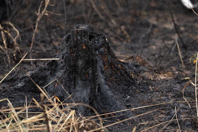Waldbrand breitet sich aus rund 10000 Quadratmeter betroffen Am 07.07.2026 kam es gegen 18:35 Uhr in Weilrod Hasselbach zu einem Waldbrand, der nach ersten Meldungen rund 10.000 Quadratmeter Wald erfasst hat. Die Rauchentwicklung ist weithin sichtbar, auch aus dem benachbarten Grävenwiesbach werden Meldungen zu dem Brand gemeldet. Die Feuerwehr Weilrod ist im Einsatz und hat wasserführende Fahrzeuge sowie weitere überörtliche Löschzüge angefordert. Stark auflebender Wind erschwert die Löscharbeiten. Über die Warnapp NINA wurde für die betroffenen Gebiete eine Warnung der Warnstufe Gefahr ausgegeben. Weilrod Hessen Deutschland *** Forest Fire Spreads; About 10,000 Square Meters Affected On July 7, 2026, at approximately 6:35 p.