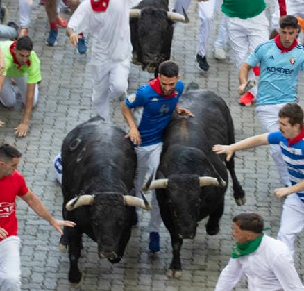 The second running-of-the-bulls in Pamplona, northern Spain on Wednesday morning, July 8, 2026 shows several fighting bulls, or toros bravos , from the ranch of Cebada Gago as they stampede near the bullring at the end of the course through the Old City street. Several runners touch the bull s side as they sprint into the bullring.  PAM2026070802 JimxHollander