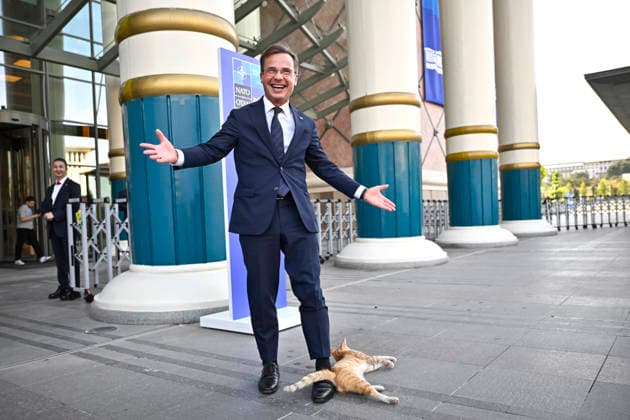 Prime Minister Ulf Kristersson (M) meets a cat during the NATO summit in Ankara, Turkey, 8 July 2026. ANKARA TURKEY x10430x *** Prime Minister Ulf Kristersson M meets a cat during the NATO summit in Ankara, Turkey, on July 8, 2026 ANKARA TURKEY x10430x  Copyright: xChristinexOlsson TTx NATO SUMMIT ANKARA 2026 RUUFrucSGyA