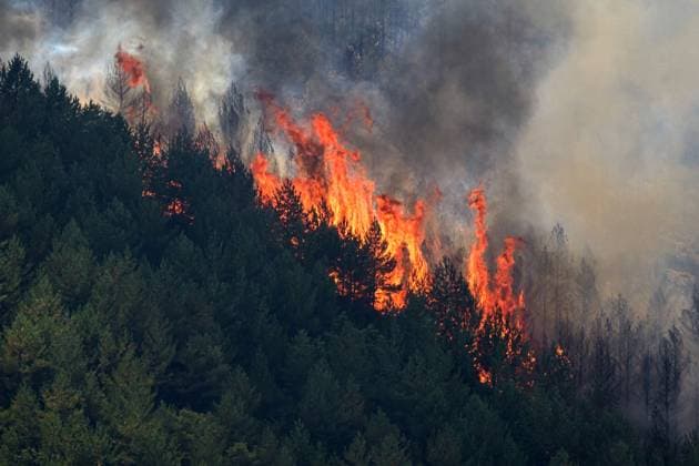 Wildfire burns pine forest in Spain’s Leon LEON, SPAIN - JULY 08: Flames and smoke rise from a wildfire that broke out the previous day in Espina de Tremor, reached level 1 on the Potential Severity Index (IGR-1) and threatened more than 30 hectares of pine forest in Leon, Spain, on July 8, 2026. Samuel de Roman Anadolu Leon Spain. Editorial use only. Please get in touch for any other usage.  Copyright: x2026xAnadoluxSamuelxdexRomanx