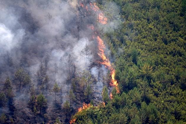 Wildfire burns pine forest in Spain’s Leon LEON, SPAIN - JULY 08: Flames and smoke rise from a wildfire that broke out the previous day in Espina de Tremor, reached level 1 on the Potential Severity Index (IGR-1) and threatened more than 30 hectares of pine forest in Leon, Spain, on July 8, 2026. Samuel de Roman Anadolu Leon Spain. Editorial use only. Please get in touch for any other usage.  Copyright: x2026xAnadoluxSamuelxdexRomanx