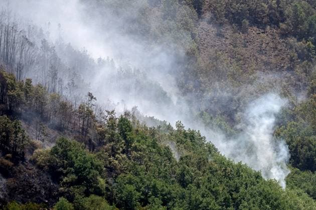 Wildfire burns pine forest in Spain’s Leon LEON, SPAIN - JULY 08: A view of a fire-damaged pine forest following a wildfire that broke out the previous day in Espina de Tremor, reached level 1 on the Potential Severity Index (IGR-1) and threatened more than 30 hectares of woodland in Leon, Spain, on July 8, 2026. Samuel de Roman Anadolu Leon Spain. Editorial use only. Please get in touch for any other usage.  Copyright: x2026xAnadoluxSamuelxdexRomanx