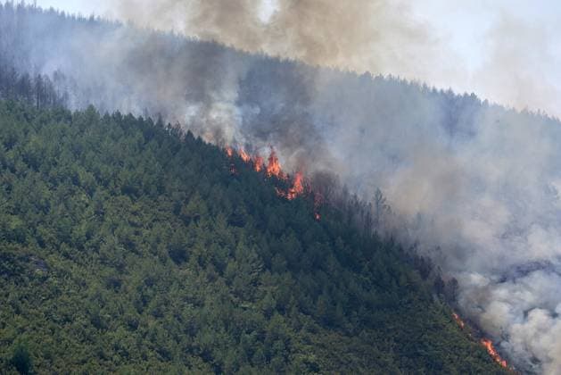 Wildfire burns pine forest in Spain’s Leon LEON, SPAIN - JULY 08: Flames and smoke rise from a wildfire that broke out the previous day in Espina de Tremor, reached level 1 on the Potential Severity Index (IGR-1) and threatened more than 30 hectares of pine forest in Leon, Spain, on July 8, 2026. Samuel de Roman Anadolu Leon Spain. Editorial use only. Please get in touch for any other usage.  Copyright: x2026xAnadoluxSamuelxdexRomanx