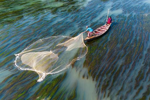 Traditional Cast-Net Fishing in Bangladesh RAJSHAHI DIVISION, BANGLADESH DECEMBER 2025 (ARCHIVE): A fisherman casts a traditional circular throw net from a wooden boat on a river in Rajshahi Division, northwestern Bangladesh. Inland rivers have supported local communities for generations, where many fishermen continue to rely on hand-cast fishing methods passed down through families. During the dry season, lower water levels expose submerged aquatic vegetation, while many fishing communities face increasing challenges from declining fish stocks and environmental pressures on freshwater ecosystems. rajshahi Rajshahi Bangladesh Copyright: x xIstiyakxAhamedxSrabonx xJNAxPressx