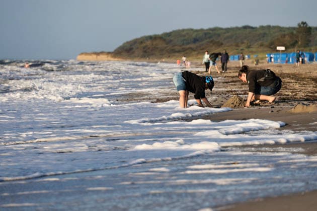 20260708 Strandidylle an der Ostsee bei Börgerenede-Rethwisch, einer Gemeinde im Landkreis Rostock in Mecklenburg-Vorpommern. Touristen und Urlauber flannieren am Strand, sitzen in Campingstühlen, bauen Sandburgen und suchen Bernstein. Börgerende-Rethwisch Mecklenburg-Vorpommern Deutschland *** 20260708 A picturesque beach scene on the Baltic Sea near Börgerende Rethwisch, a municipality in the Rostock district of Mecklenburg-Western Pomerania. Tourists and vacationers stroll along the beach, sitting in camping chairs, building sandcastles, and searching for amber. Börgerende Rethwisch, Mecklenburg-Western Pomerania, Germany