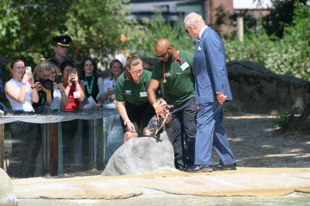 King Charles III and Queen Camilla Visit ZSL London Zoo to Mark 200 Years of ZSL - ZSL London Zoo, London, UK - Thursday 9 July 2026 King Charles III and Queen Camilla make a visit to Penguin Beach at ZSL London Zoo, London, England, UK on Thursday 9 July, 2026 to celebrate 200 years of Zoological Society of London (ZSL)., Credit:Justin Ng Avalon UK, England, London, ZSL London Zoo  Copyright: xJustinxNgx xAvalonx 1115477421