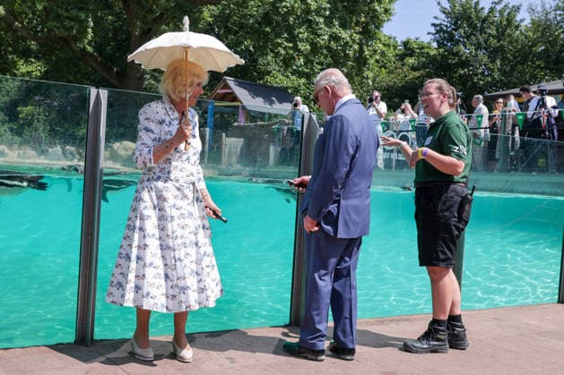 July 9, 2026, London, London, UK: London, UK. King Charles III holding a laser pointer to attract Humboldt penguins at Penguin Beach during a visit to London Zoo marking the 200th anniversary of the Zoological Society of London. London UK  - ZUMAl94_ 20260709_zaf_l94_016 Copyright: xDinendraxHariax