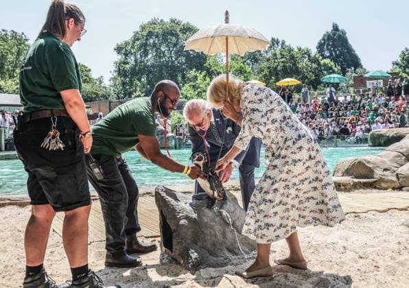 The King and Queen listen to the heart beat of a Penguin using stethoscopes unde The King and Queen listen to the heart beat of a Penguin using stethoscopes under the guidance of vet Stefan Saverimuttu during a health check of the penguins at the Penguin beach at ZSL London Zoo which he visited with The Queen to celebrate the Zoo™s 200th anniversary, Credit:Avalon.red PA ROTA - B68 Avalon  Copyright: xAvalon.redx xPAxROTAx-xB68x xAvalonx 1115489667