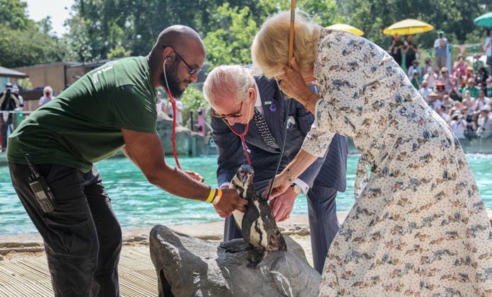 King Charles and Queen Camilla celebrate London Zoo™s 200th Anniversary King Charles and Queen Camilla visit ZSL London Zoo, to celebrate the Zoo™s 200th Anniversary, in London, UK, on the 9th July 2026. Picture by Richard Pohle WPA-Pool London ZSL London Zoo London United Kingdom  WHA-0830