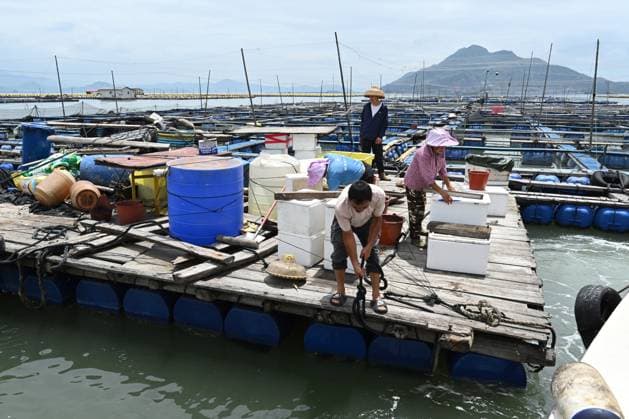 (260710) -- NINGDE, July 10, 2026 -- Aquaculture workers reinforce the fishing rafts before evacuation in Ningde, southeast China s Fujian Province, July 10, 2026. China s Ministry of Emergency Management (MEM) on Friday activated a Level III geological disaster emergency response for the country s eastern provinces of Zhejiang and Fujian. According to the MEM, influenced by Typhoon Bavi, the ninth typhoon of 2026, southern Zhejiang and northeastern Fujian are expected to experience heavy to torrential rainfall from Friday to Monday, with some areas facing extremely heavy rainfall. ) CHINA-FUJIAN-NINGDE-TYPHOON BAVI-PREVENTION (CN) JiangxKehong 