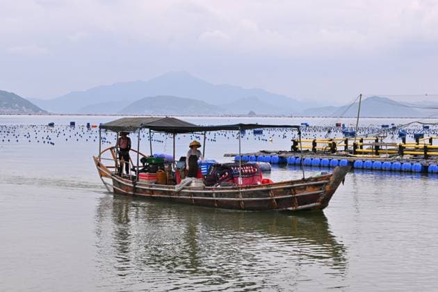 (260710) -- NINGDE, July 10, 2026 -- A fishing boat returns to port to seek shelter in Ningde, southeast China s Fujian Province, July 10, 2026. China s Ministry of Emergency Management (MEM) on Friday activated a Level III geological disaster emergency response for the country s eastern provinces of Zhejiang and Fujian. According to the MEM, influenced by Typhoon Bavi, the ninth typhoon of 2026, southern Zhejiang and northeastern Fujian are expected to experience heavy to torrential rainfall from Friday to Monday, with some areas facing extremely heavy rainfall. ) CHINA-FUJIAN-NINGDE-TYPHOON BAVI-PREVENTION (CN) JiangxKehong 
