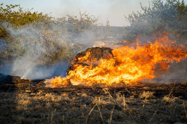 Waldbrand bedroht Acker und Vogelschutzgehölz Garage brennt bei zweitem Einsatz am selben Abend Am 09.07.2026 wurden die Feuerwehren des Hintertaunus gegen 19:54 Uhr zu einem Waldbrand in Usingen alarmiert, bei dem eine 1200 Quadratmeter große Grasfläche brannte. Landwirte verhinderten mit einem Grubber die Ausbreitung auf einen angrenzenden Acker, während die Feuerwehren aus Usingen, Grävenwiesbach und Neu-Anspach die Wasserversorgung sicherstellten und Glutnester per Drohne löschten. Nach etwa zwei Stunden war der Brand gelöscht. Zusätzlich kam es am selben Abend zu einem Garagenbrand in einem Wohngebiet in Neu-Anspach, bei dem die Feuerwehr das Dach der Garage abdeckte, um verborgene Glutnester zu bekämpfen. Usingen Hessen