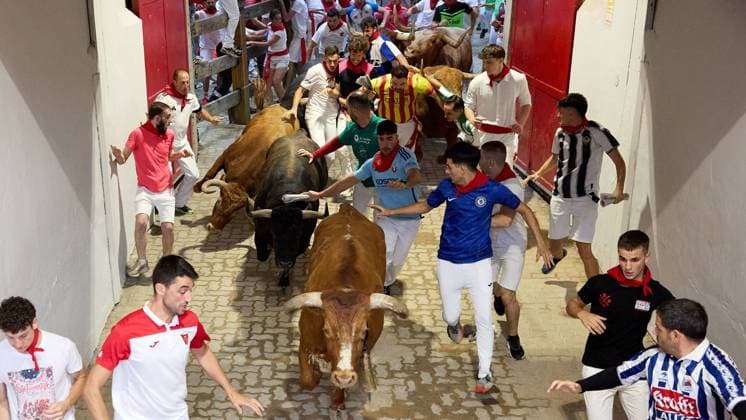 Fourth running of the bulls of San Fermin 2026 with bulls from the Álvaro Nunez ranch in the section of the alley and entrance to the square, in Pamplona on July 10, 2026. Cuarto encierro de San Fermin 2026 con toros de la ganaderia de Alvaro Nunez en el tramo del callejon y entrada a la plaza, en Pamplona a 10 de julio de 2026. Inigo Alzugaray Cordon Press Cordon Press 