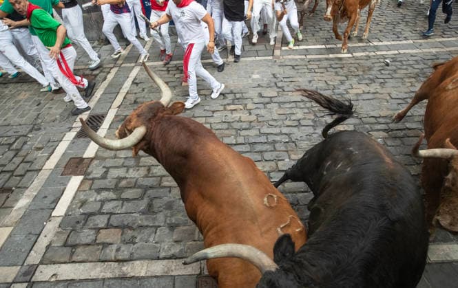 The fighting bulls from the ranch of Alvaro Nunez stampede through the Old City streets in the fourth running-of-the-bulls in Pamplona, northern Spain on Friday, July 20, 2026. Several runners were injured the morning but none were gored.  PAM20260710105 JimxHollander