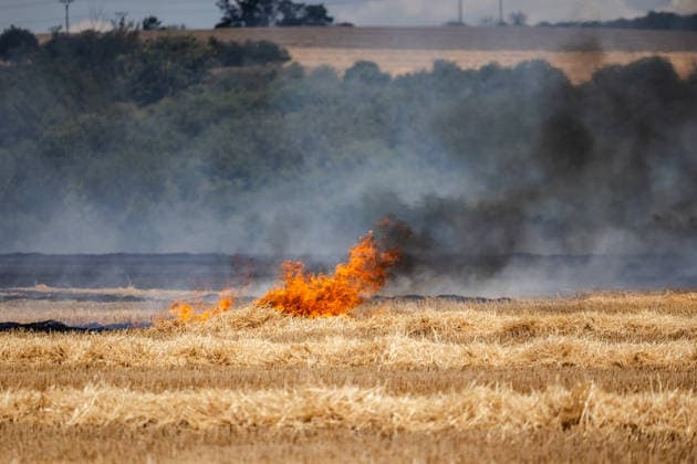 Meteorologists have issued a warning in the South Moravian Region about an increased risk of fires; firefighters are extinguishing several fires in fields or forests every day. A field fire near Hustopece in the Breclav district (pictured on July 10, 2026) was one of the smaller ones; of the four levels of fire alert, only the first level was declared. (CTKxPhoto RichardxSkoumal) CTKPhotoP2026071006149  CTKPhotoP2026071006149