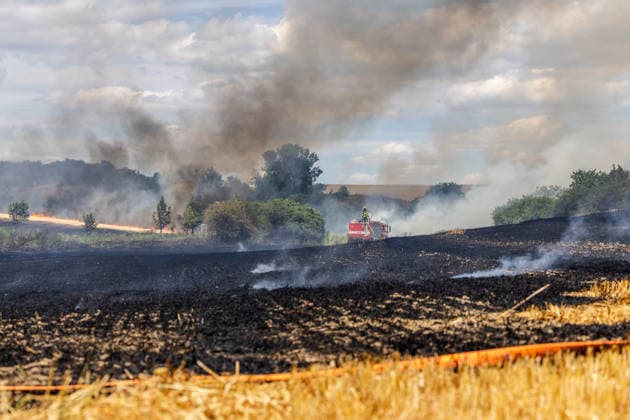 Meteorologists have issued a warning in the South Moravian Region about an increased risk of fires; firefighters are extinguishing several fires in fields or forests every day. A field fire near Hustopece in the Breclav district (pictured on July 10, 2026) was one of the smaller ones; of the four levels of fire alert, only the first level was declared. (CTKxPhoto RichardxSkoumal) CTKPhotoP2026071006162  CTKPhotoP2026071006162