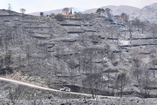Fire in Los Gallardos, Almería: Land scorched by the wildfire, as of July 10, 2026, in Los Gallardos, Almería, Andalusia, Spain. The wildfire that broke out this Thursday, July 9, in the Almería town of Los Gallardos has left eleven dead and eight injured, four of them seriously, according to the latest update, which notes that efforts are ongoing to determine whether there may be more victims, as 19 people are currently missing. In addition, some 200 personnel from the Military Emergency Unit (UME) have been deployed around the wildfire, which is spreading rapidly. JULY 10, 2026 Javi Carrión 10 07 2026 Los Gallardos, Almería, Andaluci Los Gallardos, Almería, Andaluci Spain  Copyright: xJavixCarrionx 7657959