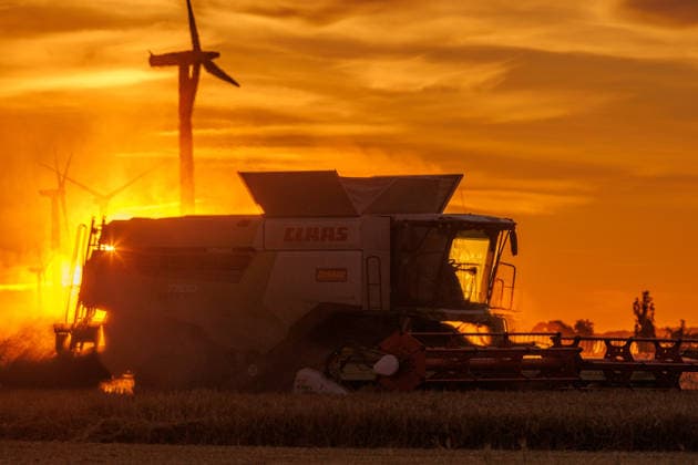 10.07.2026 - Gerste wird geerntet in den Abendstunden auf einem Feld bei Pasewalk Uckerland Wilsickow Brandenburg Deutschland *** July 10, 2026: Barley is being harvested in the evening in a field near Pasewalk, Uckerland, Wilsickow, Brandenburg, Germany