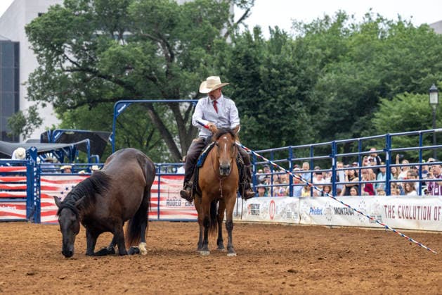 July 10, 2026, Washington, District Of Columbia, USA: Rodeo 250 brought the spirit of the American West to the National Mall in Washington, D.C., on Friday, July 10, during the final day of the Freedom 250 Great American State Fair. The event featured thrilling rodeo demonstrations showcasing the traditions, skills, and heritage of the American West as part of the nationwide celebration leading up to America s 250th anniversary. The Great American State Fair ran for 16 days, from June 25 through July 10, drawing visitors from across the country to celebrate America s history, culture, and traditions. Washington USA  - ZUMAkh2_ 20260710_znp_kh2_001 Copyright: xAlixKhalighx