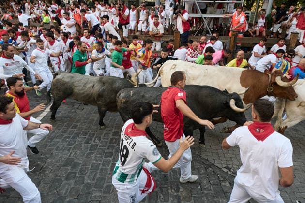 Fifth bull run of the 2026 San Fermín Festival, featuring bulls from the José Escolar ranch; the fifth bull run of the 2026 San Fermín Festival, on July 11, 2026, in Pamplona, Navarre, Spain. In this year’s festival, the fifth running of the San Fermín festivities features bulls from the José Escolar ranch in Spain.  Copyright: xEduardoxSanzx 7658858