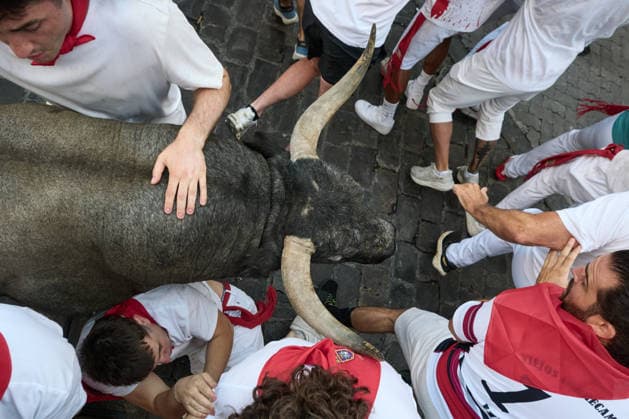 Fifth bull run of the 2026 San Fermín Festival, featuring bulls from the José Escolar ranch; the fifth bull run of the 2026 San Fermín Festival, on July 11, 2026, in Pamplona, Navarre, Spain. In this year’s festival, the fifth running of the San Fermín festivities features bulls from the José Escolar ranch in Spain.  Copyright: xEduardoxSanzx 7658860