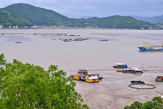 (260711) -- FUDING, July 11, 2026 -- Fishermen are evacuated to the land in Shacheng Town of Fuding, southeast China s Fujian Province, July 11, 2026. Fujian has maintained its Level II typhoon emergency response and activated a Level III flood control emergency response as Typhoon Bavi nears China s east coast on Saturday. Local officials have implemented precautionary measures to prevent the Typhoon Bavi, including evacuating residents and inspecting geological hazard sites. Temporary shelters were fully stocked with supplies and medical resources. ) (SpotNews) CHINA-FUJIAN-FUDING-TYPHOON BAVI-PREVENTION (CN) JiangxKehong 
