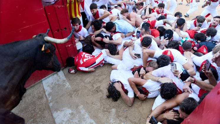 Release of young bulls in the Pamplona Bullring after the fifth bull run of San Fermín 2026, in Pamplona on July 11, 2026 Suelta de vaquillas en la Plaza de Toros de Pamplona tras el quinto de San FermI­n 2026, en Pamplona a 11 de julio de 2026 Inigo Alzugaray Cordon Press Cordon Press 