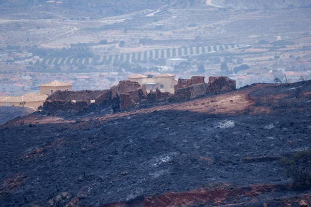 Bolanos Visits the Forward Command Post in Turre, Almería. Image of the area affected by the Los Gallardos fire. July 11, 2026, in Almería, Andalusia, Spain Visit to the Forward Command Post for the Los Gallardos fire in Almería by the Minister of the Presidency, Justice, and Relations with Parliament, Félix Bolanos July 11, 2026 Francisco J Almería, Andalusia Almería, Andalusia Spain  Copyright: xFranciscoxJ.xOlmox 7659399