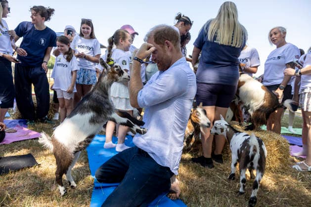 Prince Harry at Scotty s Summer Festival Prince Harry taking part in Goat Yoga Prince Harry taking part in Scotty s Summer Festival at Maxstoke Castle, Birmingham . Scotty s is a military bereavement charity that provides relief from the effects of grief for bereaved military children and young people who have experienced the death of a parent who served in the British Forces. 11 July 2026, Credit:Heathcliff O Malley for the Telegraph PA ROTA - B68 Avalon  Copyright: xHeathcliffxO MalleyxforxthexTelegraphx xPAxROTAx-xB68x xAvalonx 1115961908